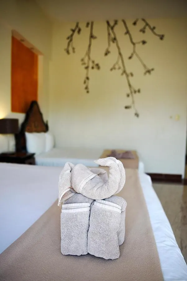 ***  Hotel Mt Тулум Мексика